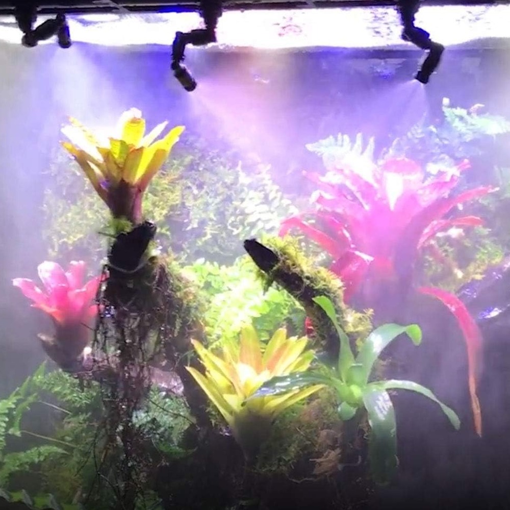 Misting Nozzle Reptile - جهاز تبخير للزواحف من نوع PP