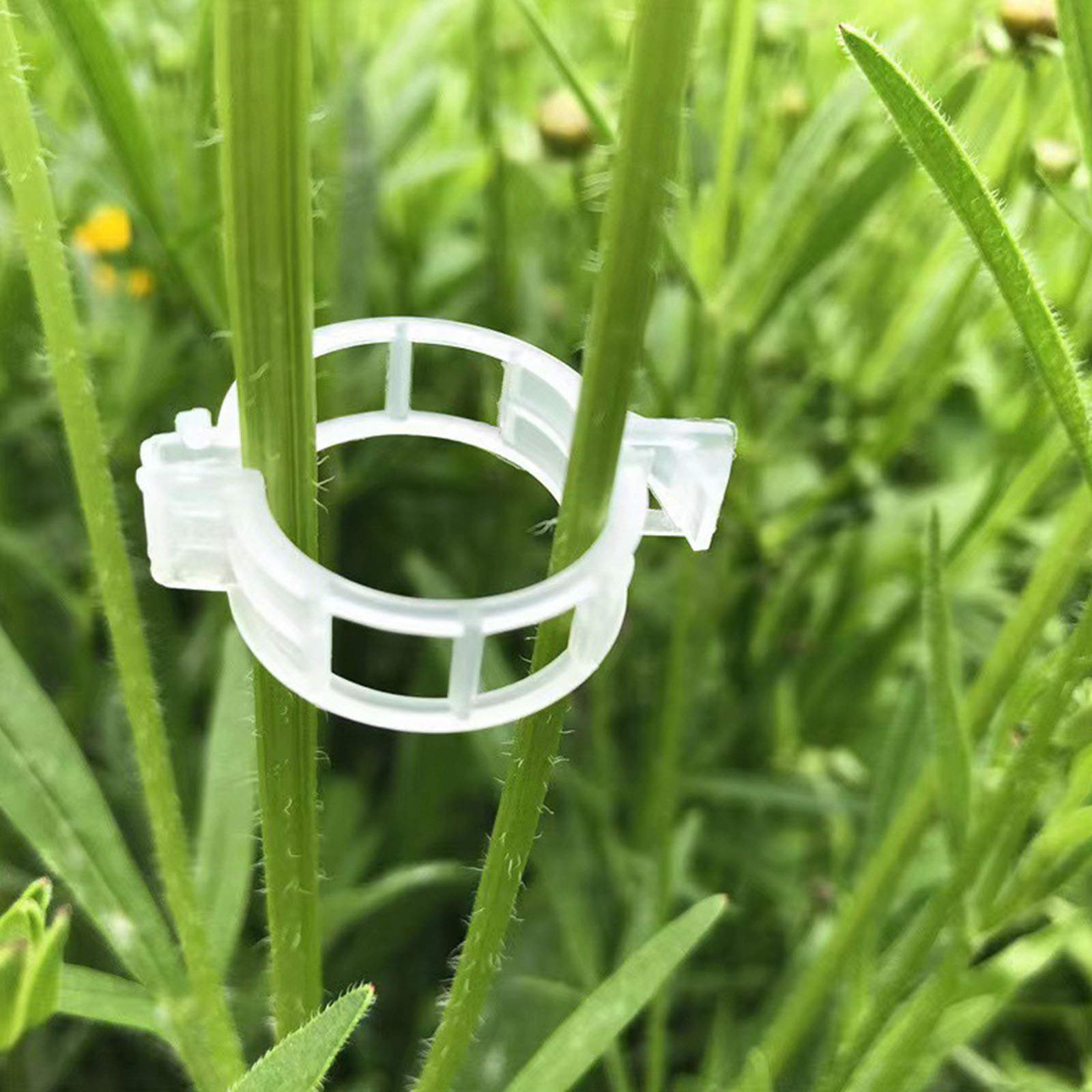 Vine Climbing Plastic - مشبك بلاستيكي آمن لتثبيت النباتات في