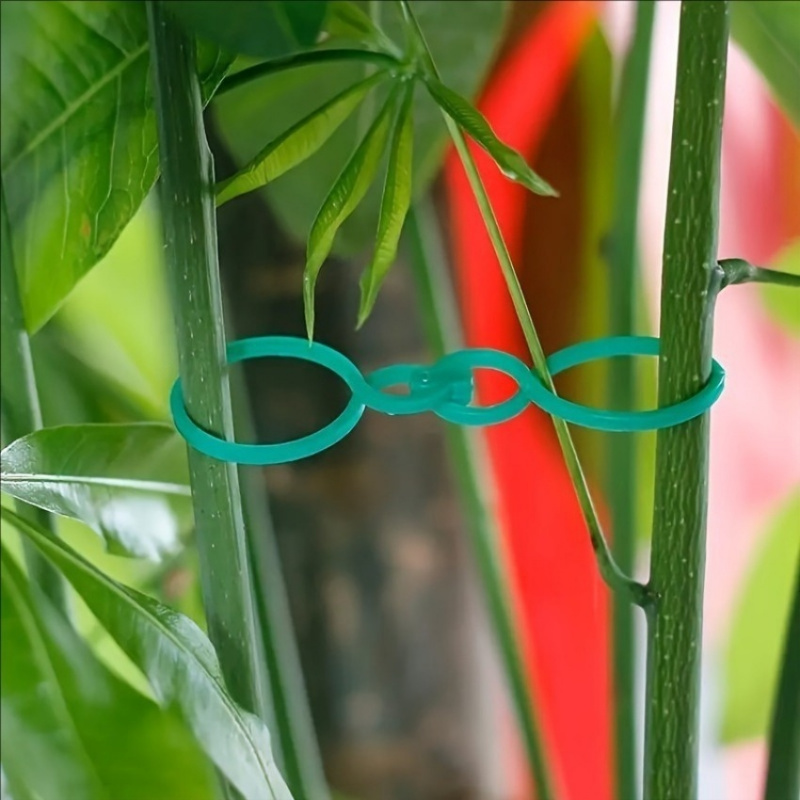 125 قطعة من مجموعة أدوات دعم ا - مراجعة Vine Climbing Plastic وسعره