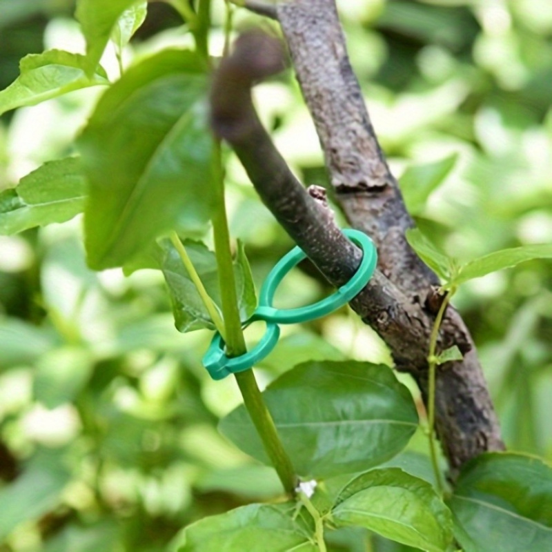 125 قطعة من مجموعة أدوات دعم ا - مراجعة Vine Climbing Plastic وسعره