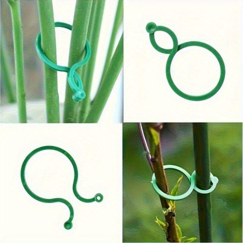 125 قطعة من مجموعة أدوات دعم ا - مراجعة Vine Climbing Plastic وسعره