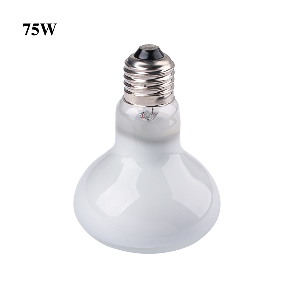 مصباح تدفئة للسلاحف، مصباح هال - مراجعة Basking Bulb Halogen وسعره