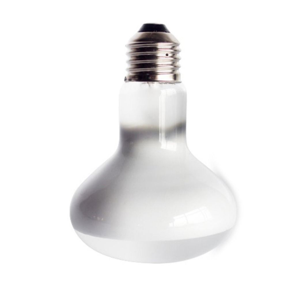 مصباح تدفئة للسلاحف، مصباح هال - مراجعة Basking Bulb Halogen وسعره