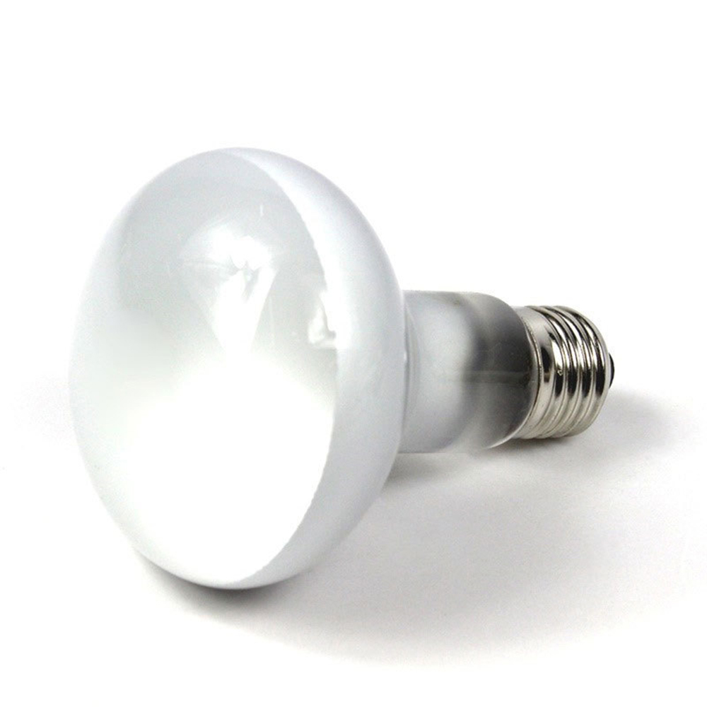 مصباح تدفئة للسلاحف، مصباح هال - مراجعة Basking Bulb Halogen وسعره