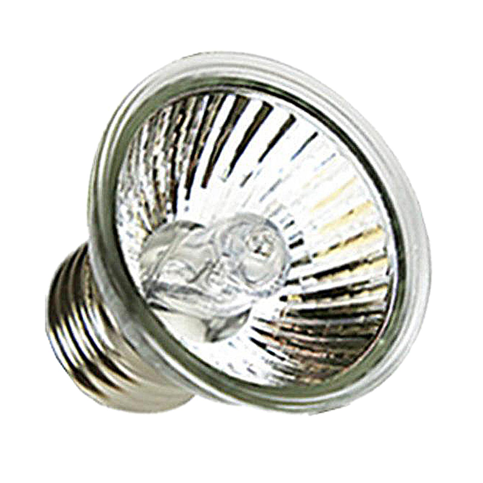 مصباح حراري للزواحف UVA UVB، ل - مراجعة Basking Bulb Halogen وسعره