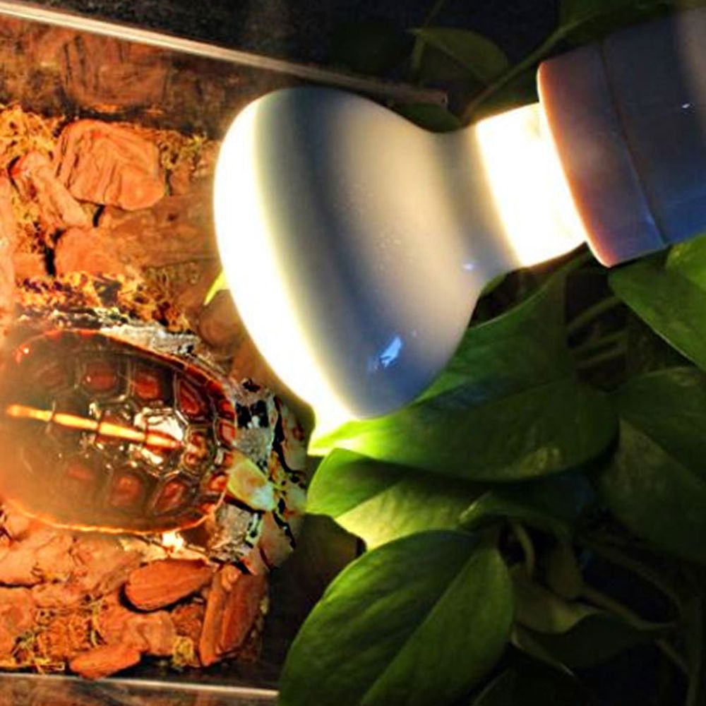 جهاز تحكم في درجة حرارة السلاح - مراجعة Basking Bulb Halogen وسعره