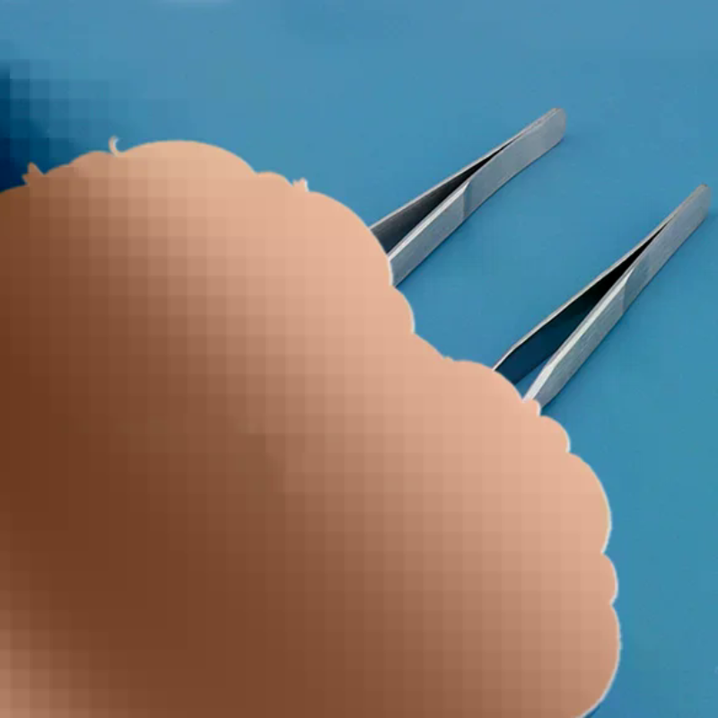 ملقط تغذية الزواحف من الفولاذ  - مراجعة Feeding Tong Stainless وسعره