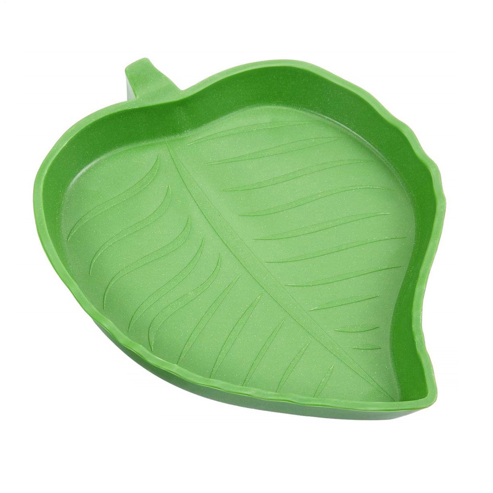 وعاء طعام وماء للزواحف، وعاء ط - مراجعة Water Dish Reptile وسعره